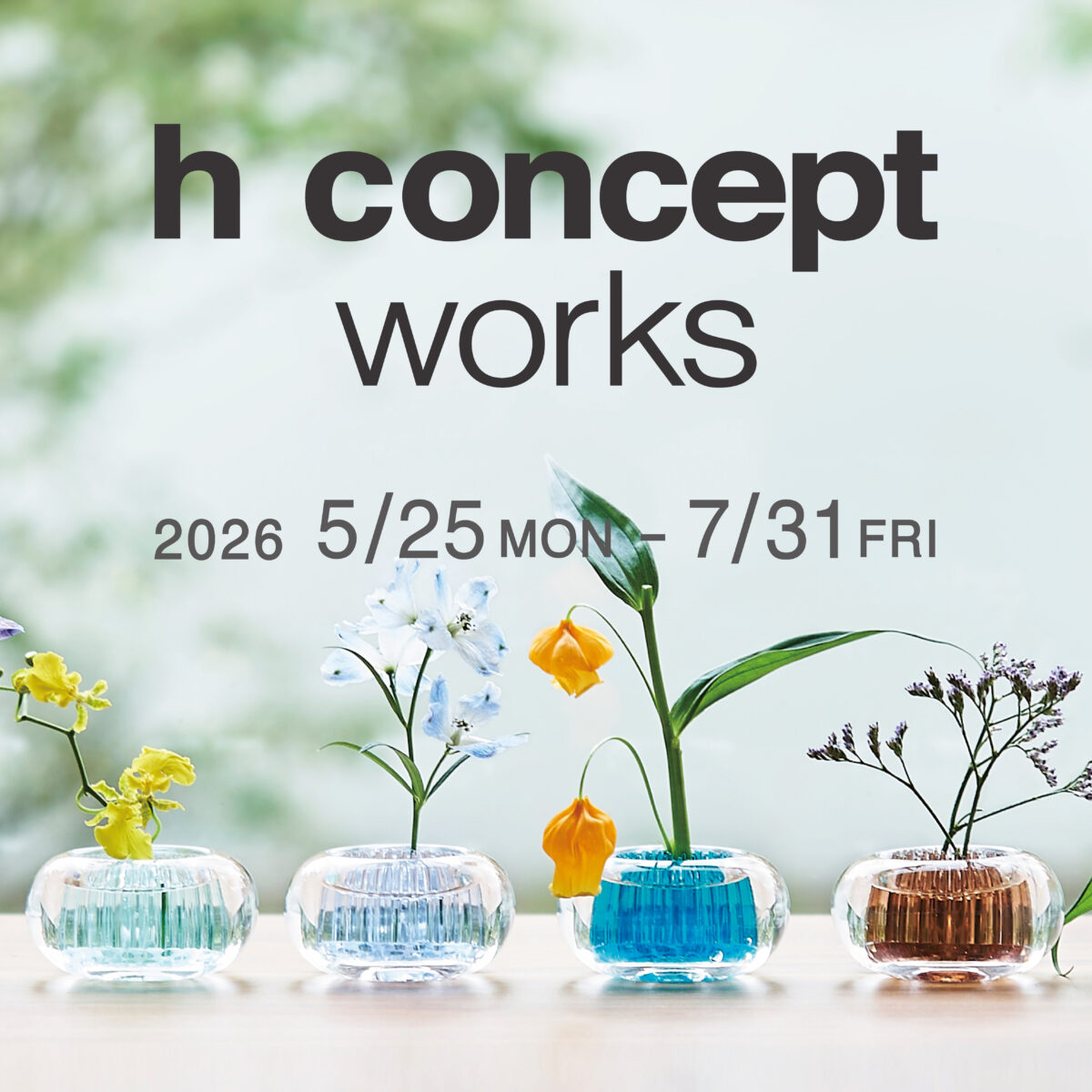 2026-05_finefine_hconceptworks_SNS_ol-01