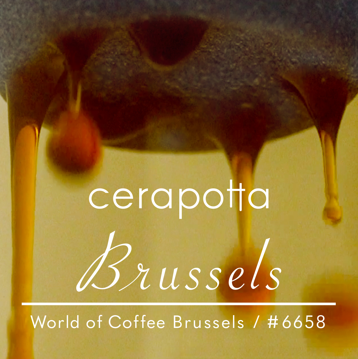 WorldofCoffee2026_Brussels_keyvisual_1000x1000px